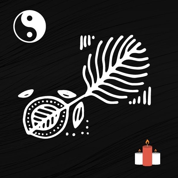 Feng Shui Nasıl Uygulanır